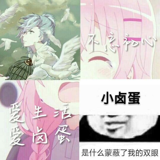 小卤蛋的苏翼92的主页-快手直播