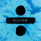 Perfect(Ed Sheeran)