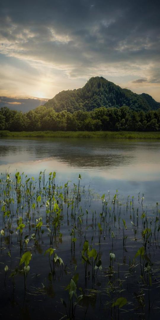 山水高山湖水日出芦苇