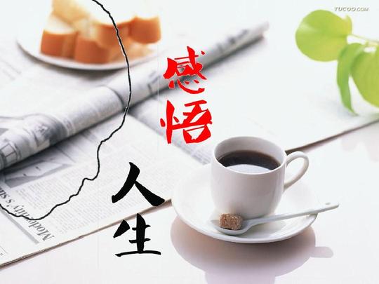 感悟人生生活经济学酒店前台销售作文素材毛毛虫的故事励志小