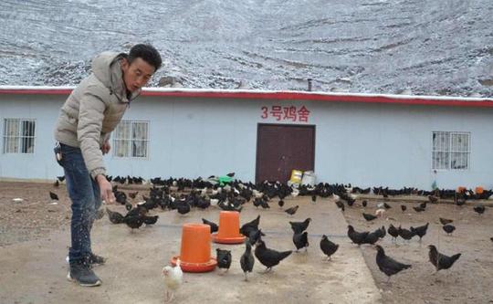 吴拿话农事■未来五年，农村养殖搞什么最赚钱?专家:不是鸡鸭猪，而是它们!