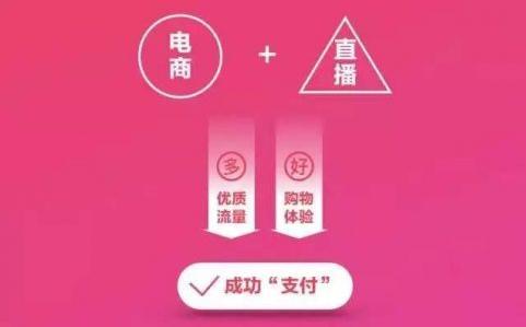 2020电商创业风口项目,天猫店群,有什么内幕吗?