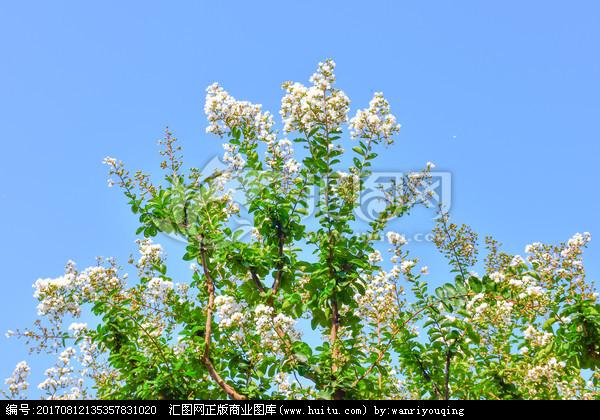 被蚊子咬了发什么朋友圈