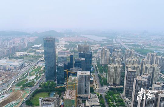 顺德将走出一条大湾区独具特色的城市高质量发展道路。戴嘉信摄