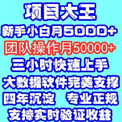 2019在家赚钱小项目原创自媒体淘宝客教程赚钱网赚做轻松学会