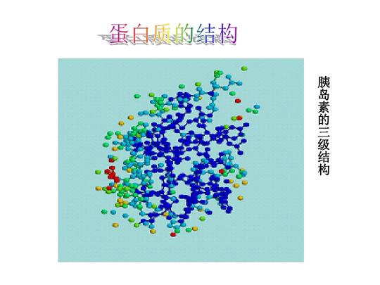4《蛋白质工程的崛起》课件