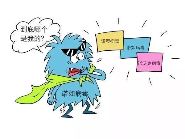 儿童诺如病毒化验单怎么看