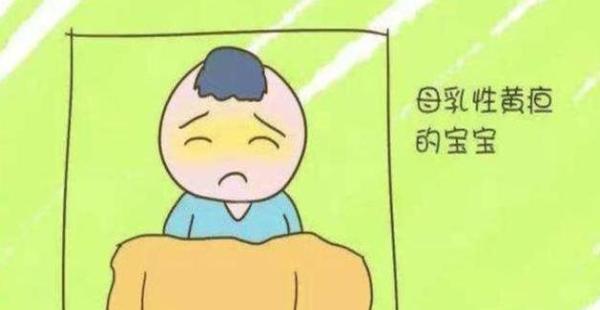 宝宝有黄疸要停掉母乳吗