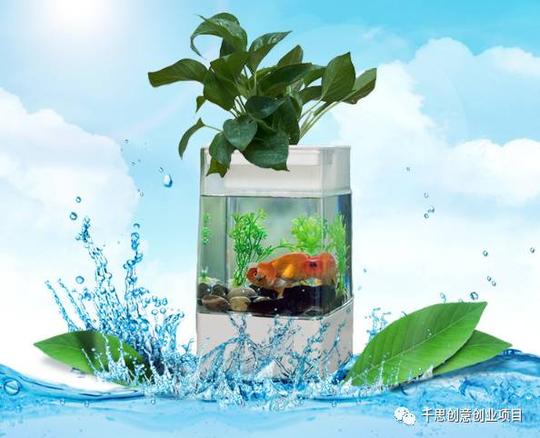 【万元创业·卖项目】塘主重出江湖?
