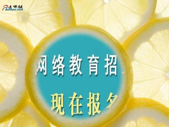 如果你的网站一天的流量能有10万ip的话,一天就可以有8000-10000元的