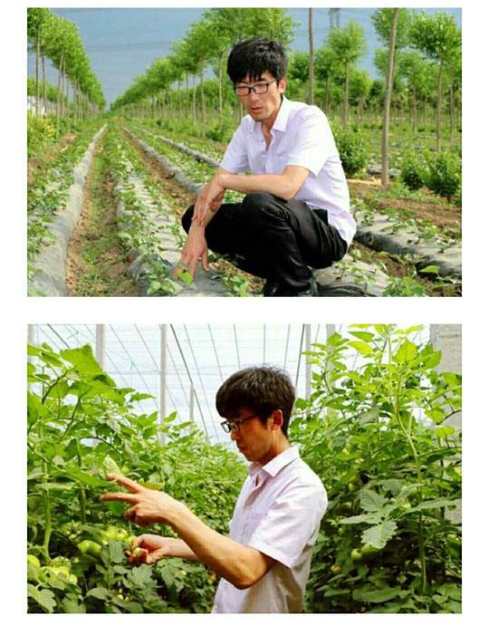 【热搜冲顶】山东28岁硕士返乡创业做养殖一鸡可卖到上千元……