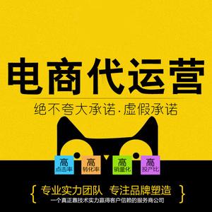 淘宝代运营天猫京东代运营网店店铺托管整店代运营拼店多多代运营