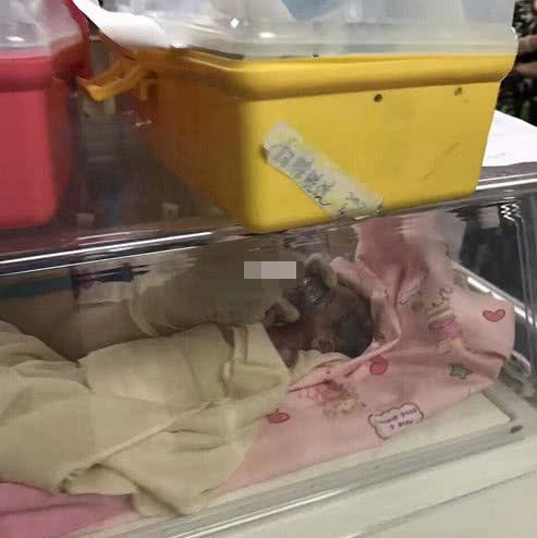 不同月龄婴儿喂养方式