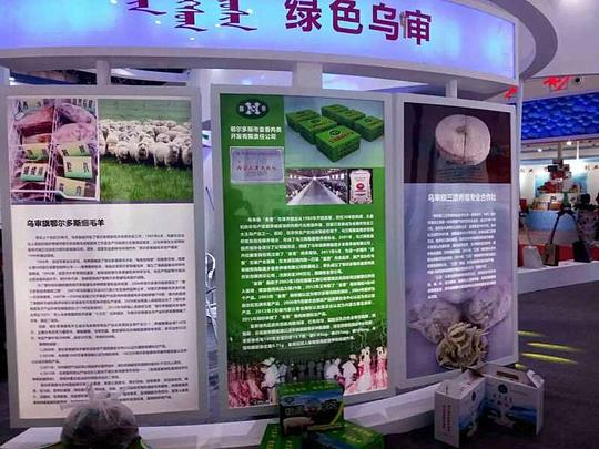 "大众创业万众创新"之绿色乌审展在康巴什展出