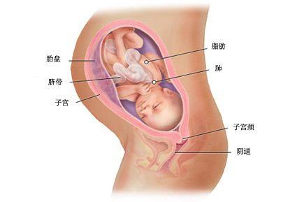 胎儿头入盆了还有多久会出生二胎