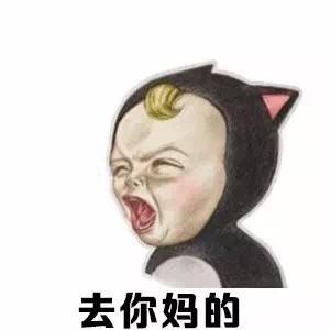 去你妈逼看我不neng死你