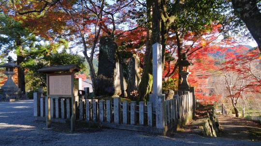 东瀛赏枫--奈良金峰山寺院