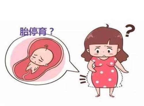 导致胎停孕的原因有哪些