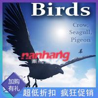ue4虚幻资源素材-birds鸟群蓝图游戏虚拟现实