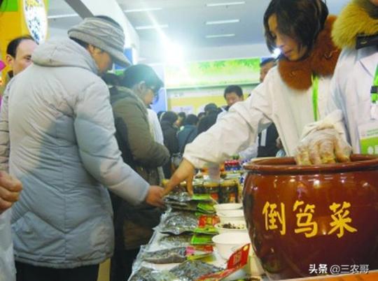 在家创业项目(适合农民在家职业的7个小本创业)