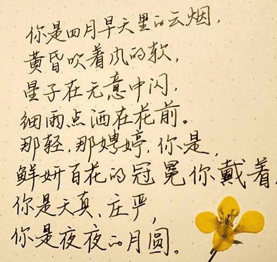 泪流默无声.以下是小编精心整理的伤感学生毕业语录,希望大家喜欢!
