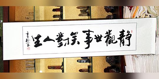 苏雅字画客厅书法书法作品书法立轴书法静观世事笑对人生