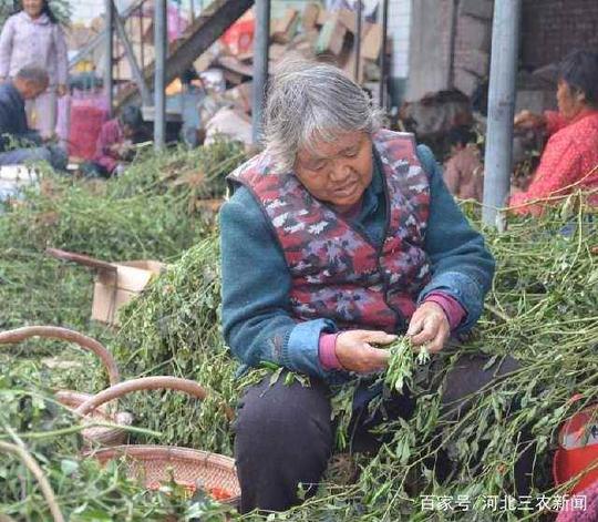 一近买5毛钱,大冬天一天30元,留守妇女儿童让人心酸落泪!