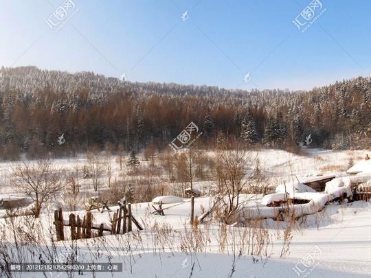 冰雪世界背景雪景图片素材雪原雾凇东北中国雪乡雪地背景雪天