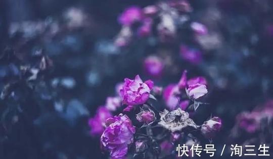 天秤女|2022年变有钱的4个星座女，财源滚滚，成为名副其实的人生赢家