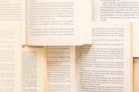 爱情陨落(白小白)