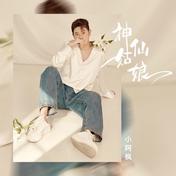 神仙姑娘(小阿枫)