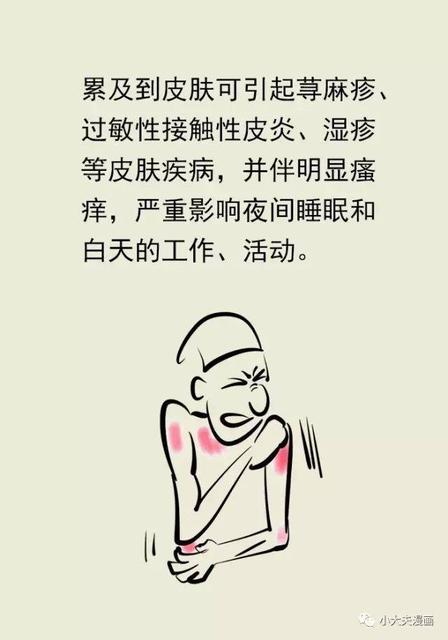 危害准妈妈的疾病及预防方法