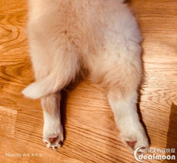 大小便观察记录表