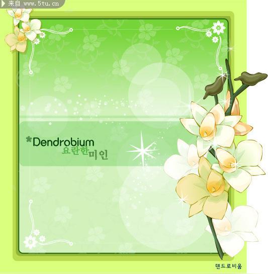 白玉兰花边框