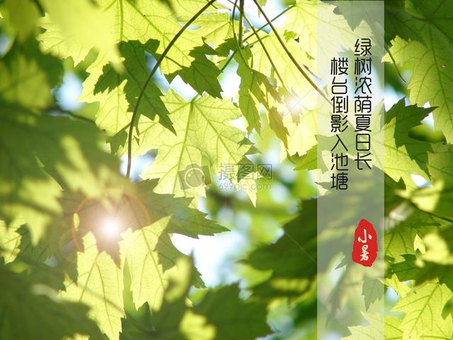 关于小暑的古诗四句