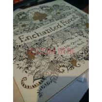 英文原版enchantedforest魔法森林填涂色书手绘涂鸦秘密花园同款热销书实拍图