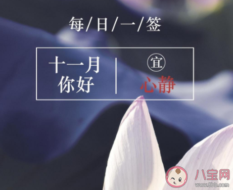十一月再见十二月你好的唯美说说
