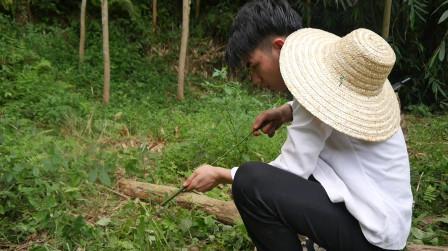 广西农村小伙做小时候的玩具竹筒炮满满的童年回忆感