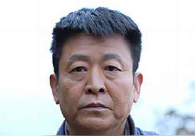 卜文革