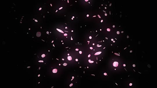 透明通道花瓣雨素材1_1920x1080_高清视频素材下载(:)