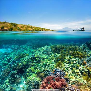 十,大海唯美的句子?