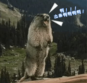 叫啊继续叫表情包