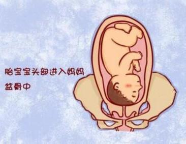 怀孕38周为什么还没有入盆