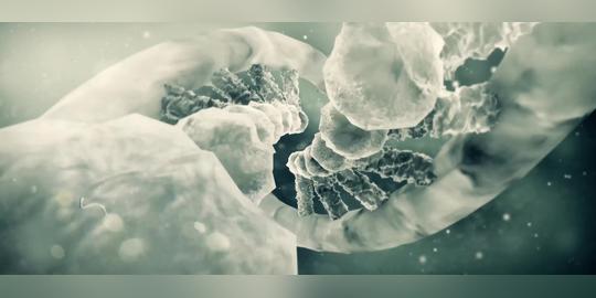 a193dna动画片4k视频_3840x1628_高清视频素材下载(:)