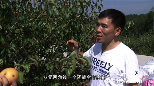 王明洪荒山上种植圆黄梨创业打工仔三万元起家年入500万