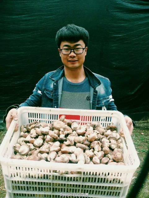宝宝多大可以吃香菇粉