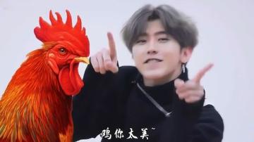 鸡你太美蔡徐坤表情包