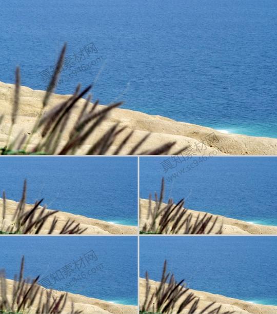 唯美蓝蓝海滩小草烘托场景变焦俯视拍摄沙滩风格高清视频实拍