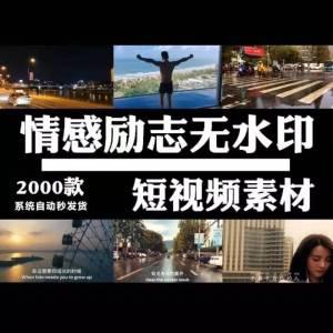 自媒体扎心情感语录励志正能量心灵鸡汤剪辑热门推广短视频素材包