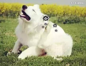 春季怎么预防皮肤病